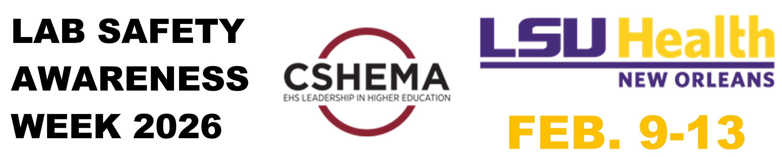 2026 LSAW header banner